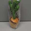 SANJOIN Cactus Baby Toy Talking Dancing Singing Adjustable Volume, Baby Girl for 1 Year Old, Infant Toys for 06 612 Months Stocking Stuffers