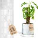 V2 Medium GrowPole - Stackable Plastic Moss Poles for Climbing Plants, Monstera Plant Support-Plant Climbing Pole, DIY Plant Sticks Support. Works for Philodendron and Anthuriums - 5 Pcs