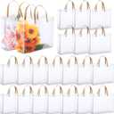 Paterr 20 Pcs Large Clear Gift Bags with Handles 11.8 x 9.8 x 4 Inch Transparent Plastic Party Favor Bags Reusable Frosted Tote Gift Wrap Bulk for Shopping Boutique Wedding Birthday Christmas