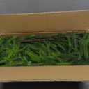 PABREY Artificial Norfolk Pine Garlands, 2 Pcs 6 Ft Real Touch Garlands, Winter Green Greenery Christmas Garlands for Mantle, Table, Wall, Outdoor, Indoor Christmas Decorations (6 FT, 2)