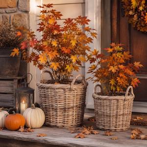 2 Pcs Fall Woven Basket Planter, Rattan Basket, Autumn Wicker, 10, 8''