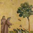 Art.com Wall Giclee Print St. Francis of Assisi Preaching to the Birds by Giotto di Bondone, 24" x 32"