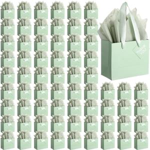 Mini Paper Gift Bags Bulk with Tissue Paper Small Gift Bags with Handle and Tags for Birthday Graduation Summer Party Business, 50 