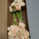 Floroom Ranunculus Artificial Flowers 18 Pcs Champagne Faux Silk Mini Ranunculus Bulk Fake Wedding Filler Flowers for DIY Cream Bouquets, Centerpieces, Bridal Shower Decorations & Arrangements