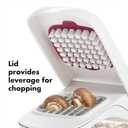 OXO Good Grips Vegetable and Onion Chopper with Easy Pour Opening (One Size)