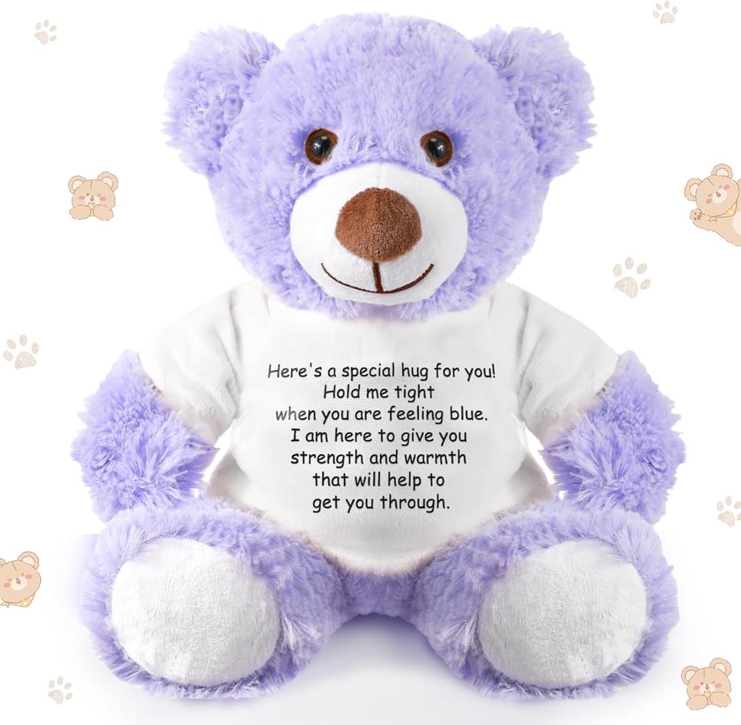 Lenwen a Bear Hug Gift Get Well Soon Sympathy for Women Plush Stuffed Animal Hug Thinking of You Condolences Memorial Loved Present(Purple,Bear)