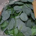 CQURE 96Pcs Eucalyptus Garland,Artificial Eucalyptus Leaves Table Greenery Garland Wreath Vines for Wedding Party Table Fireplace Home Decor