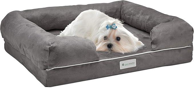 Odor Free Dog Bed | Luxury Memory Foam with Natures Activated Charcoal Odor Remover | Miracle Small Dog Bed [20" x 25"] | Water and Chew Resistant