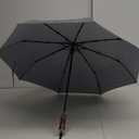 Balios (Designed in UK) Travel Umbrella Luxurious Golden Hardwood Handle Auto Open & Close Windproof Frame Single Canopy Automatic Folding Umbrella Men's & Ladies