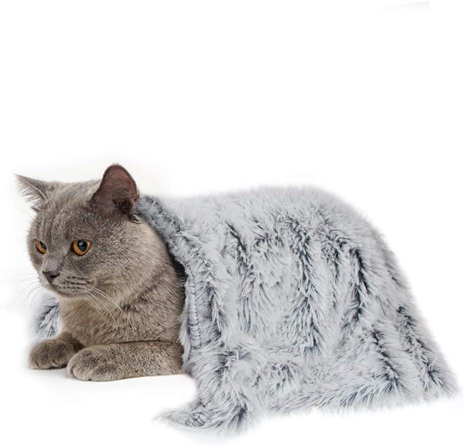 PJYuCien Dog Blanket for Dogs, Puppies and Pets, Lightweight & Portable Fluffy Fleece Throw, Super Soft Plush Cat Blanket for Couch/Car Seat/Furniture, Machine Washable, 16"x24", Grey