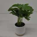 Artificial Leaf Simulation Pot Plant Realistic Looking Not Wither Geometric Shape Potted Unfading Maintenance Free Decorate Exquisite Details Fake Plant Leaf