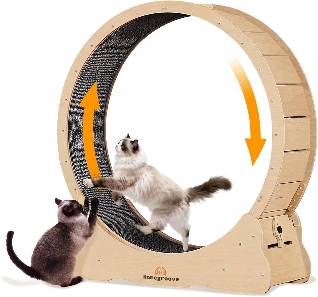 Homegroove XXL Cat Exercise Wheel, 52"/132cm Large Cat Wheel, Solid Wood Cat Treadmill with Integrated Safety Lock, Spine Alignment Design for Large Indoor (XXL, Natural Wood)