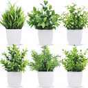 Der Rose 6 Pack Small Fake Plants Artificial Plants in Pots for Home Bthroom Bedroom Living Room Decor IndoorGreen (White)