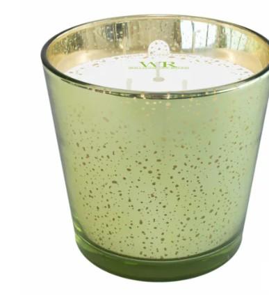 24oz Scented Candle Garden Rain, Green