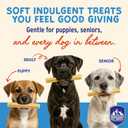 Himalayan Dog Chew Yogurt Sticks, Plain Flavored, Dog Treats With Prebiotics, Probiotics & Protein, Digestive Support, Lactose & Gluten Free, Natural Dog Treat for All Breeds, Made in America, 5 Count (4.8 Ounce (Pack of 1))