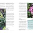 The Perennial Gardener's Design Primer