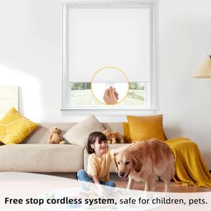 ChrisDowa Cordless Free-Stop 100% Blackout Blinds for Windows, Roller Windows Shades with Thermal Insulated, UV Protection Fabric for Living Room, Office and Home. Easy to Install.White,20" W X 72" H