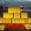 Leorate Will You Be My Girlfriend Proposals Light Up Letters Set  16 LED Lit Paper Bags with Heart Balloons, Rose Petals & Fairy Lights, Romantic Decorations for Valentine's Day Birthday Surprise