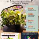 MG-15 Hydroponic Growing System Kits, Smart Indoor Garden with 24W Grow LED Light Full Spectrum, 15 Pods Herb Garden Planter Indoor Gardening for Gifts, Kitchen