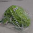 Animal Onesie Adult One Piece Cosplay Costume Pajamas for Women Men (Large, Multicolor Wazowski Mike) 