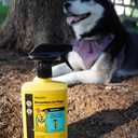 Sawyer Products SP624 Permethrin, Permethrin for Dogs Insect Repellent Treatment