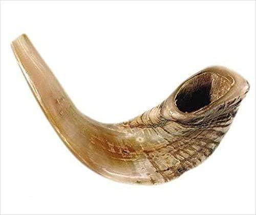 Half-Polished Original Shofar | Authentic Ram's Horn Shofar | Jewish Blowing Horn from Israel, 15"-17"
