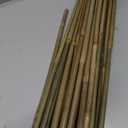 Cambaverd Bamboo Stakes 4ft Natural Plant Stakes for Tomatoes, Beans, Climbing Plants Support - 25 Pack Bamboo Sticks for Plants