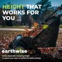 Earthwise LSW70021 21-Inch Width Leaf & Grass Push Lawn Sweeper, Black