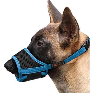HEELE Dog Muzzle,Soft Nylon Muzzle Anti Biting Barking Chewing,Air Mesh Breathable Drinkable Adjustable Loop Pets Muzzle for Small Medium Large Dogs (Sky Blue, M)