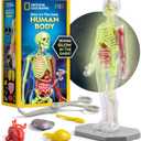 National Geographic Human Body Model for Kids That Glows in The Dark - 32-Piece Interactive Anatomy Model with Bones, Organs, Muscles, Science Kit Stocking Stuffer, Anatomy & Physiology Study Tools