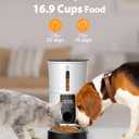 Petory Timed Automatic Cat Feeders - 4L Programable Dry Food Dispenser for Cats and Small Medium Dogs 6 Meals with Desiccant Bag Dual Power Supply 10S Voice Recorder