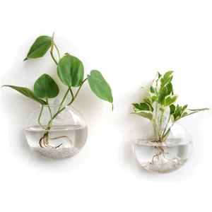 Mkono Wall Hanging Glass Terrariums Planter Oblate Flower Vase for Hydroponics Plants, Bathroom, Home Office Living Room Decor, Set of 2