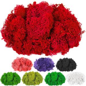 CCINEE Moss Preserved, 4 OZ Fake Reindeer Moss for Potted Plants for Craft Arts Floral Wall Decor Wedding Centerpieces Fairy Garden Artificial Terrariums Decoration for Christmas(Rose Pink)