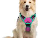 rabbitgoo Dog Harness No Pull with 2 Leash Clips, Adjustable Soft Padded, Reflective Oxford No Choke Pet Vest with Easy Control Handle for Large Dogs, Hot Pink & Turquoise, M