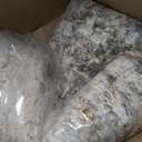 8x10 Area Rugs Washable Large Neutral Modern Living Room Rug