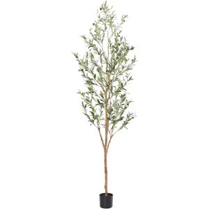 Bellacat Faux Olive Tree 7ftOlive Trees Artificial Indoor with Natural Wood Trunk and Realistic Leaves and Fruits. 7 Feet(84in) Fake Olive Tree for Home House Office Dcor.
