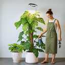 Kullsinss Black Grow Light, Full Spectrum LED Plant Lights for Indoor Growing with 6/12/16H Timer, 3 Color Modes, 5 Brightness, 10"-65" Height Adjustable Plant Grow Lamp for Large Indoor Plants