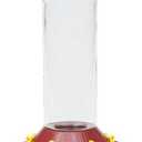 Perky Pet 209B Glass Hummingbird Feeder, 30 Oz, Red (Older Model)