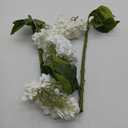 4 Pcs Real Touch Hydrangea Artificial Flowers, 21" White Full Faux Hydrangea Flowers Latex Fake Flowers for Home Decor Party Floral Arrangements Wedding Bouquets Centerpieces Outdoor Decor