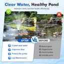 Pond Filter with Fountain Pump Kits, 60W 820GPH Pond Pump and Filter Kit with Submersible Water Pump Flow Ajustable for Outdoor Ponds Koi Pond Garden Fish Tank Water Features