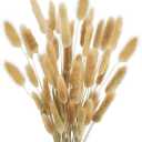 Uieke 17 Natural Bunny Tails Dried Flowers, 50 Pcs Dried Lagurus Ovatus, Dried Brown Pampas Grass Decor for Farmhouse Flower Arrangements Wedding Home Boho Party Decorations