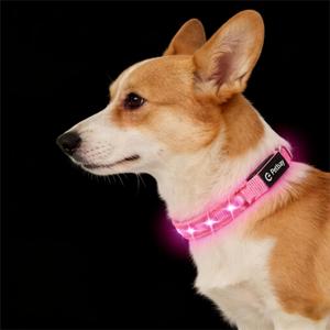 LED Dog Collar for Small Dogs Cats - Fully Waterproof & Adjustable Glow Collar - USB-C Rechargeable for Night Walking, Safety - Flashing Lighted Collar for Dogs(Pink,XS) (XSmall (Width:0.6",Length:7" - 11"))