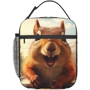 VANZEV Lunch Box for Adults Women Girls Boys Kids Cute Squirrel Lunch Box Insulated Cooler Reusable Lunch Bag Container Gifts for Work Office Picnic Travel School