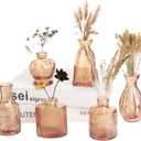 Petal Petite Glass Vase Set of 6 Small Amber Glass Bud Vases, Mini Vintage Flower Vases for Wedding Centerpieces & Table Décor, Champagne Vases in Bulk for Single Stem, Home and Office Decor