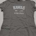 Hawaiian Aloha State Graphic Vintage Hawaiian Islands T-Shirt (Small, Slate Grey)
