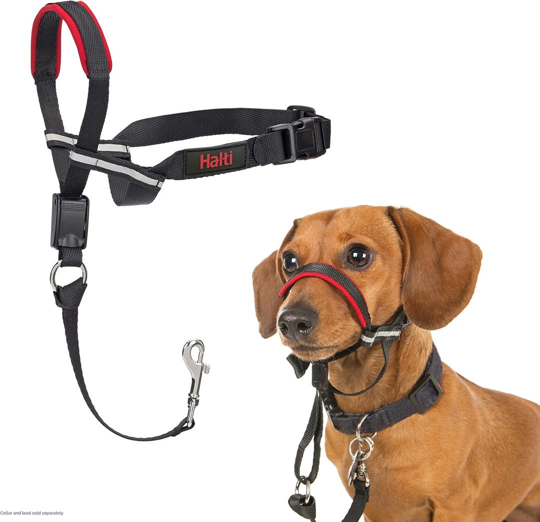 HALTI Optifit Headcollar - To Stop Your Dog Pulling on the Leash. Adjustable, Reflective and Lightweight, with Padded Nose Band. Dog Training Anti-Pull Collar for Small Dogs (Size Small)