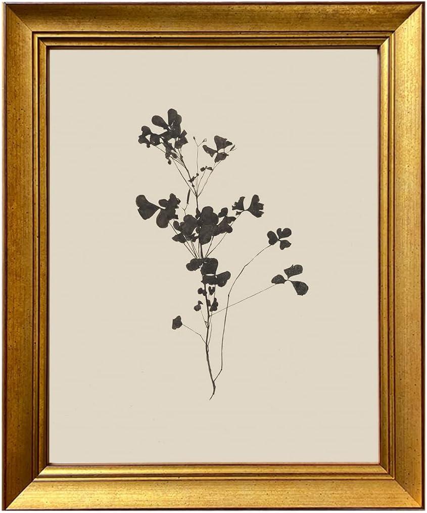Gold Framed Neutral Floral Sketch Painting Vintage Flower Wall Art Minimalist Botanical Fine Art Print Artworks for Living Room Bedroom Bathroom Home Cottage Core Decor, 20"L x 16"W
