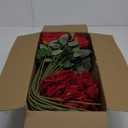 50 PCS Fake Red Roses, Artificial Red Flowers Bulk Realistic Silk Faux Rose with Stems for Wedding Decoration Anniversary Bridal Bouquet DIY Floral Arrangement Romantic Home Decor Gifts