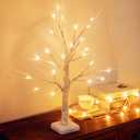 Woohaha Birch Tree Valentines Day Decorations Indoor for Home,2ft 24LED Warm White Light Up Birch Tree Battery&USB Tabletop Timer Artificial Mini Christmas Tree with Lights for Holiday Party Wedding (1ft 8in)