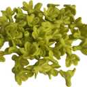 50 PCS Pakalana 03 Cowslip Creeper Flower Clay Beads for Jewelry Making DIY Craft Supplies